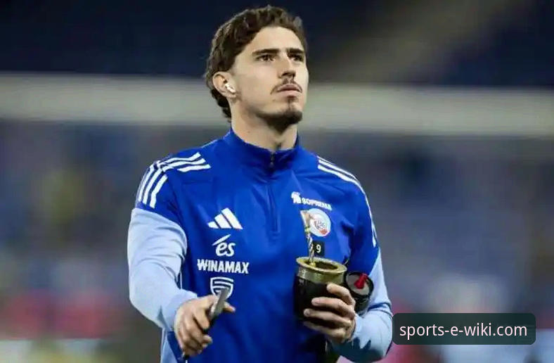 帕尼切利重伤无缘世界杯：一次战术损失与平台观赛体验的深度分析